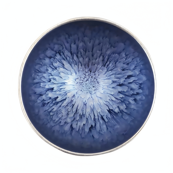 O1CN01kRGeGK2EQWARG8v3Y_!!2217633868739-0-cib Jianzhan tea cup with a bouquet of flowers